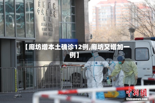 【廊坊增本土确诊12例,廊坊又增加一例】-第2张图片