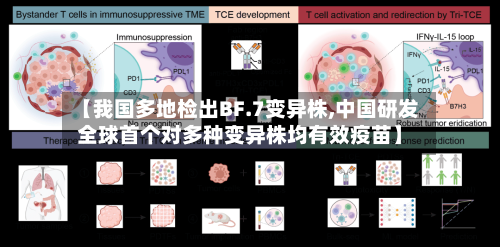 【我国多地检出BF.7变异株,中国研发全球首个对多种变异株均有效疫苗】-第3张图片
