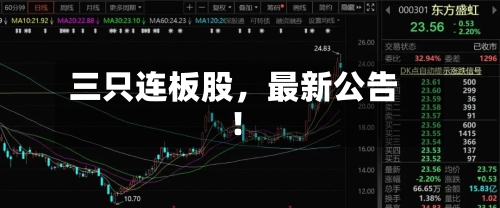 三只连板股，最新公告！-第2张图片