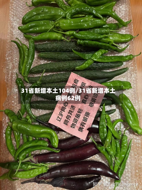 31省新增本土104例/31省新增本土病例62例