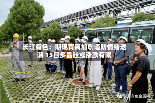 长江有色：期现背离加剧谨防情绪退潮 15日多晶硅或涨跌有限-第3张图片
