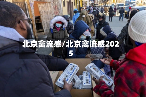 北京禽流感/北京禽流感2025-第2张图片