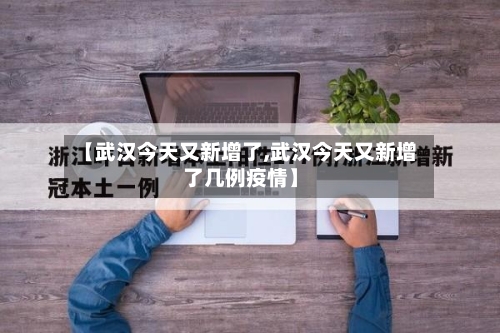 【武汉今天又新增了,武汉今天又新增了几例疫情】