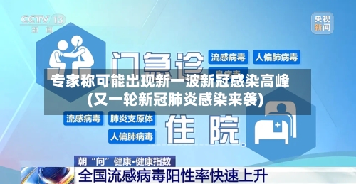 专家称可能出现新一波新冠感染高峰(又一轮新冠肺炎感染来袭)
