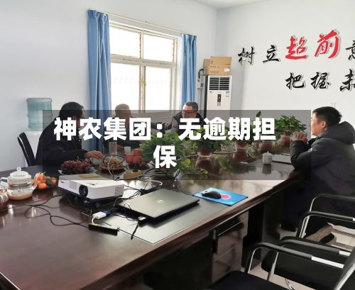神农集团：无逾期担保