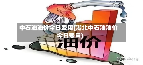 中石油油价今日费用(湖北中石油油价今日费用)-第3张图片