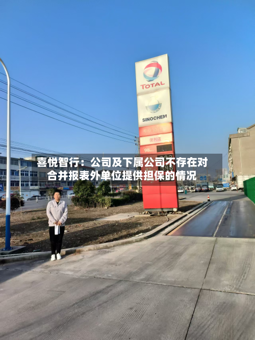 喜悦智行：公司及下属公司不存在对合并报表外单位提供担保的情况-第2张图片
