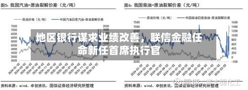 地区银行谋求业绩改善	，联信金融任命新任首席执行官-第2张图片