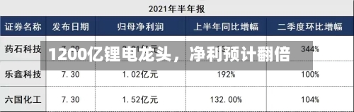1200亿锂电龙头	，净利预计翻倍-第2张图片