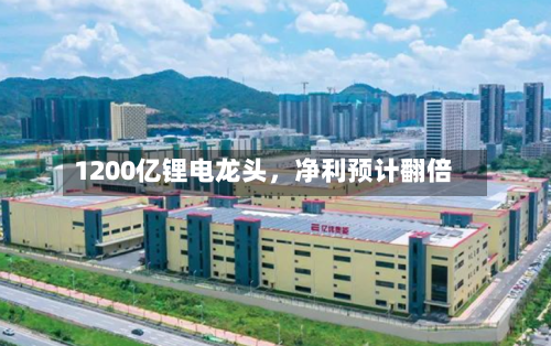 1200亿锂电龙头，净利预计翻倍