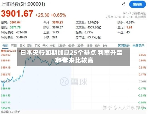 日本央行如期加息25个基点 利率升至31年来比较高水平-第3张图片
