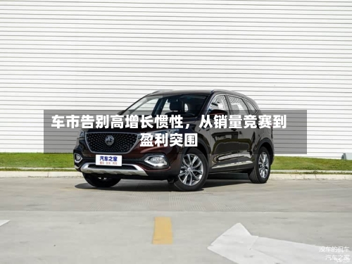 车市告别高增长惯性，从销量竞赛到盈利突围-第3张图片