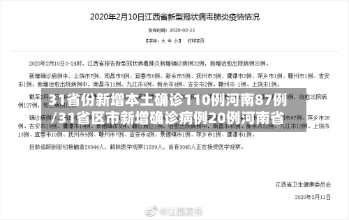 31省份新增本土确诊110例河南87例/31省区市新增确诊病例20例河南省-第3张图片