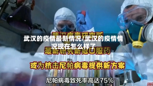 武汉的疫情最新情况/武汉的疫情情况现在怎么样了