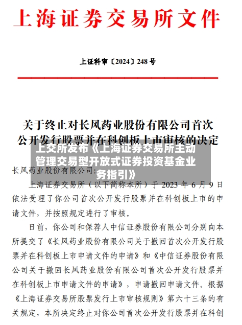 上交所发布《上海证券交易所主动管理交易型开放式证券投资基金业务指引》-第2张图片