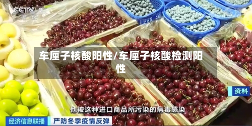 车厘子核酸阳性/车厘子核酸检测阳性-第2张图片