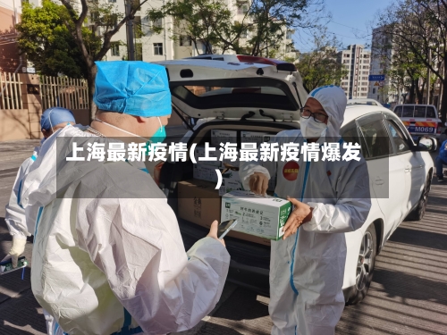 上海最新疫情(上海最新疫情爆发)-第3张图片